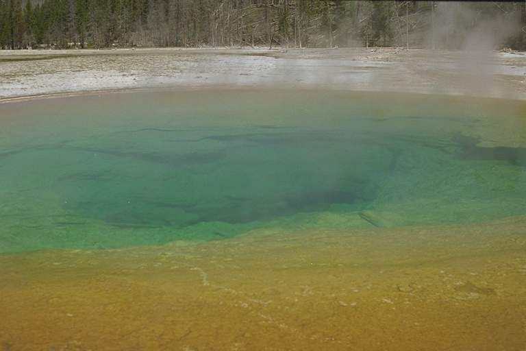 Yellowstone (p81)